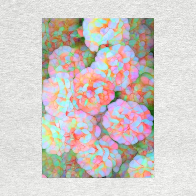 Pastel Hydrangea by redwitchart